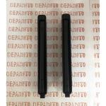 Paire de flèches de direction DUCELLIER 12 volts