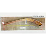 Paire d'ailes avant environ 1915